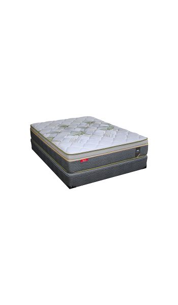 Set Luxurious en tamaño Twin